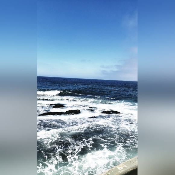 🌹Meet the Posher🌹 - Picture 1 of 2